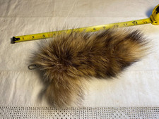 Tanned Raccoon Tail Fur Skin Pelt Taxidermy Hide Part