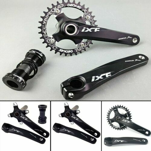 Phatmoto Kill Switch - Universal For 48cc/66cc/79cc/80cc/212cc - Foto 10