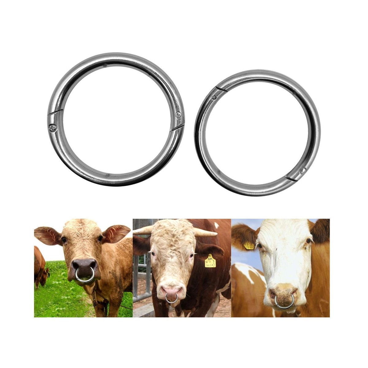 Bull Nose Ring Veterinary Practical Binding Tool for Livestock Farm Animals