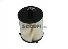 Filtre à carburant Mg TF