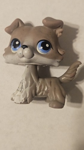 Littlest Pet Shop LPS #67 Grey Collie Authentic Rare Dog Blue Eyes 2005-read Des