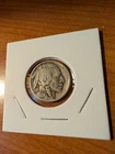 New Listing1921 P Philadelphia Buffalo Nickel Full Date Horn Visible