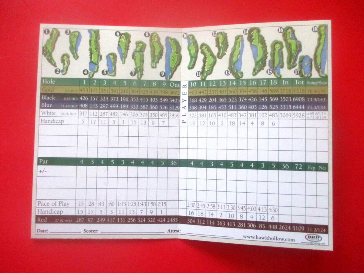 vtg Golf Scorecard EAGLE EYE GOLF CLUB gc Bath MI