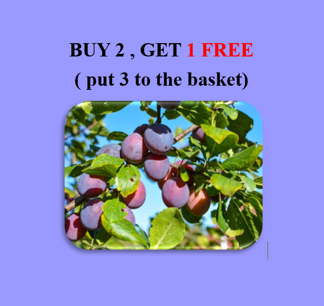 Bolsa de 2 L para fumar papas fritas producto natural para barbacoa. Bolsas de 2 l x 10