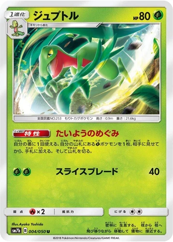 Grovyle 004/050 Sm7b: Fairy Rise