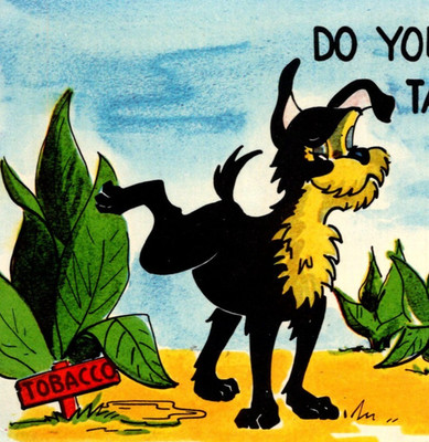 Vintage Postcard Dog Peeing On Tobacco Do Your Cigarettes Taste Different c1971