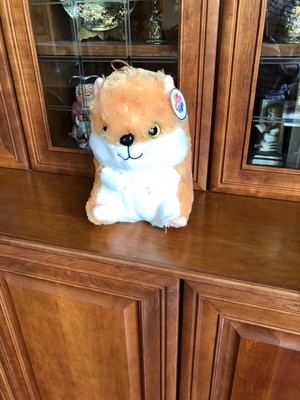 tan and white hamster