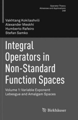 Integral Operators in Non-Standard Function Spaces: Volume 1: Variable Expo...
