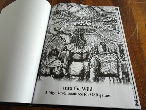 INTO the WILD: A High-Level Resource for OSR Games by Todd Leback HC OSE rpg VG+ - Picture 3 of 4