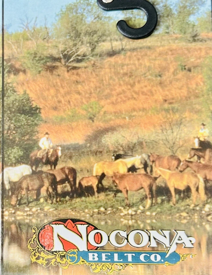 Nocona Nuevo en Caja 🎁 Mujer Corazón y Estrás Hebilla Cinturón Vaquera Western Foto 3 de 3