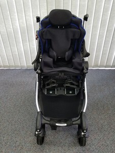 zippie voyage stroller
