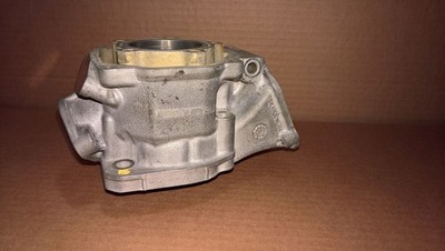 Rotax Max FR125 Kart Engine Motor Cylinder 223994 Junior, Mini, Micro {#4}