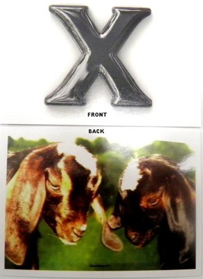 100 REAL-Did I ever show you a picture of ''MY  X  AND OUR 2 KIDS'' ?
