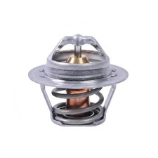 Thermostat Ford P 100