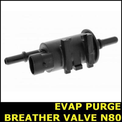 EVA PLAS mini Ⅱ STOMP EBOX 2 V2 Electric Minibike - Free UK Delivery - Ride + Glide