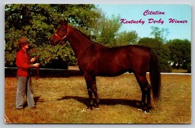#ad Citation Kentucky Derby Winner Lexington KY Vintage Postcard $5.95