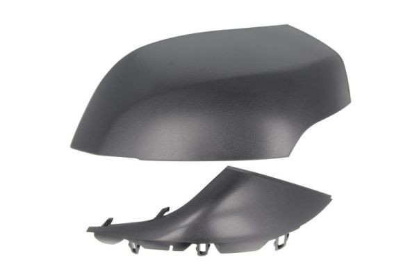 Left BLIC 6103-09-2002149P Housing, exterior mirror for RENAULT