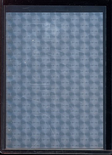 2025 Leaf Pre Production Proof (1/1) Travis Pastrana - Picture 2 of 2