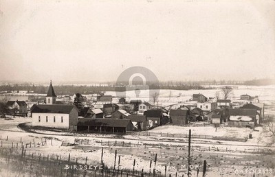 Street View Millbrook MI Michigan #2 RPPC Photo Postcard COPY