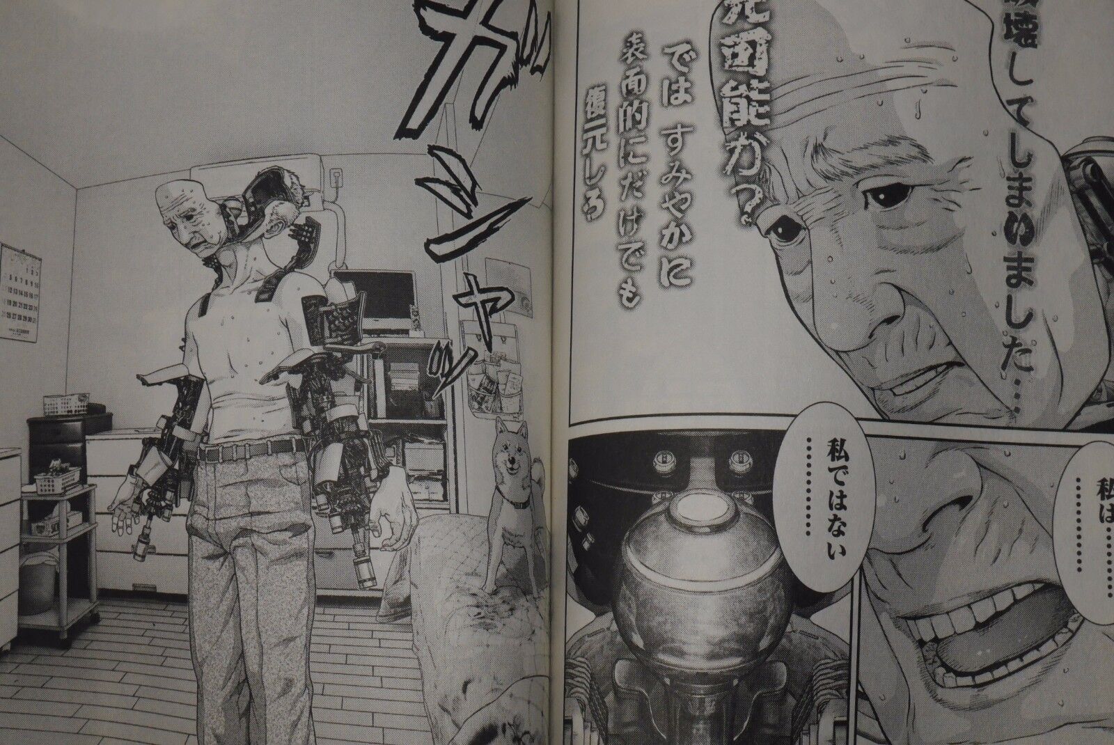 Inuyashiki Manga 1