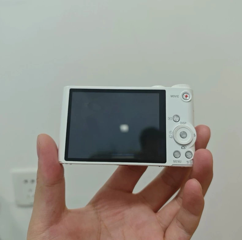 SONY Cyber-shot DSC-WX350 18.2 MP 20x Digital Zoom Digital Camera