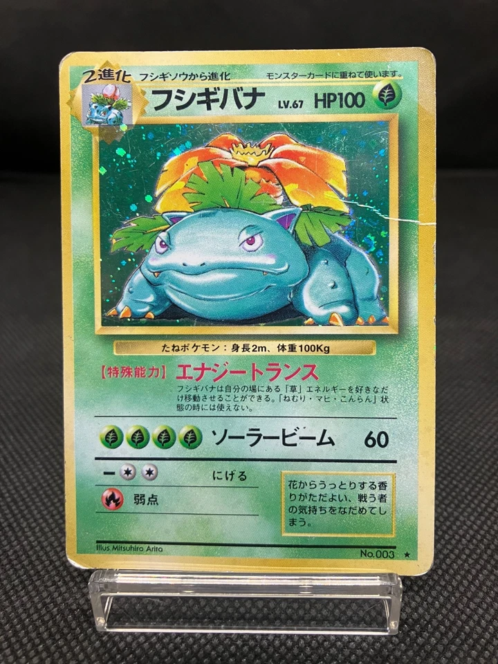 Pokémon Card Lot Japanese Venusaur & Dark Blastoise Holo Vintage Old Back MP - Image 2 of 4