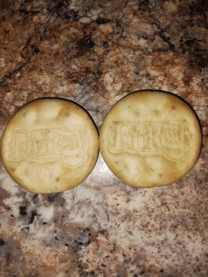 Piel Real Friends Squawkers McCaw Guacamayo Loro Pájaro Interactivo 2006 Probado Funciona Foto 3 de 4