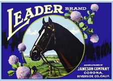 Corona Leader Horse #1 Lemon Citrus Fruit Crate Label Art Print