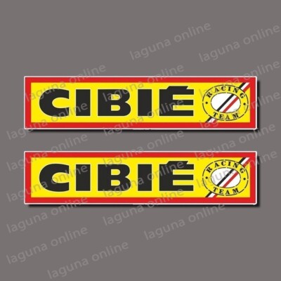 Autocollant Vinyle CW Racing BMX Old School – Décalcomanie Rétro, Résistant UV Et Eau