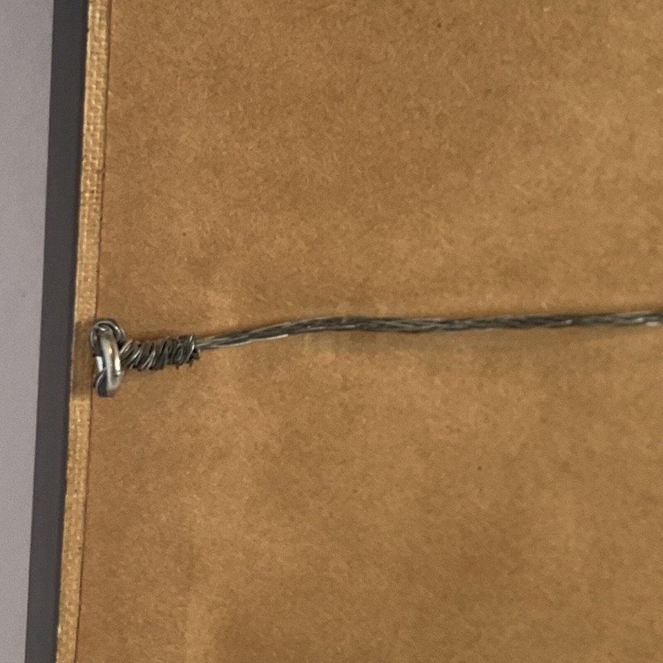 St Steven’s Cathedral ViennaE Graner 19th C Artist Framed Fine Art