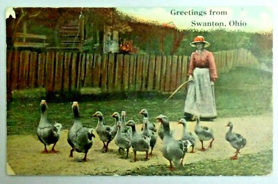 #ad #ad Greetings From Swanton Ohio Woman Rounding Up Geese 1916 DB Postcard 5724 $8.00