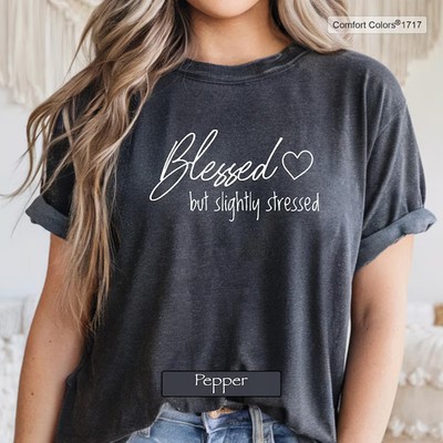 Blessed But Slightly Stressed Funny Christian Comfort Tee