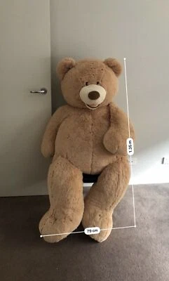 big teddy bear costco