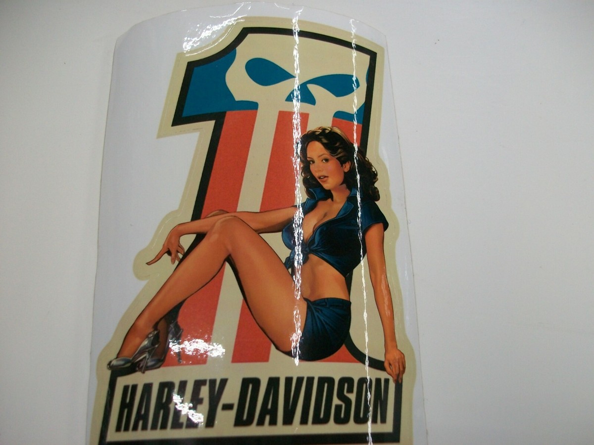 Harley-Davidson #1 Genuine Dark Custom Skull Logo Car Sticker With
