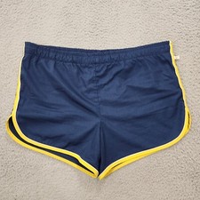 Vintage Jantzen Shorts Men 36 Blue Stripe Swim Trunks Lined Athletic 80s US Made