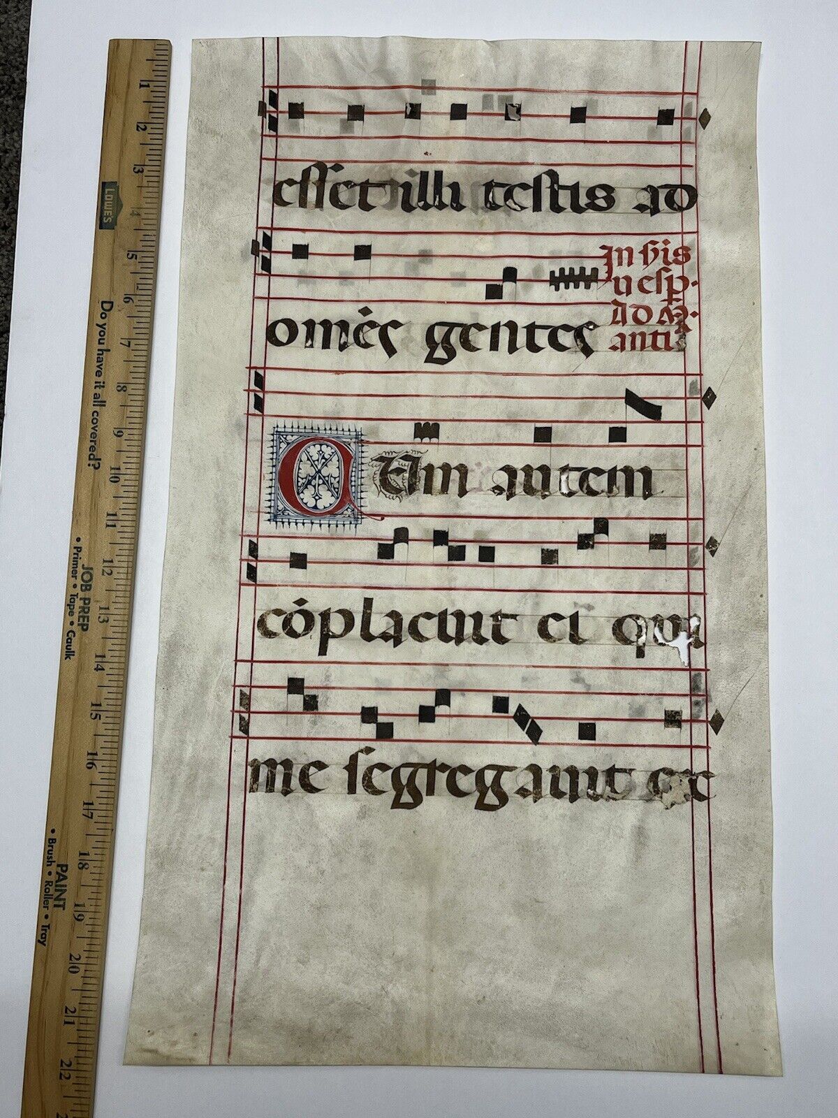 1400’s 22” Vellum Handwritten Music Sheet Huge Folio Leaf - Printed In Latin
