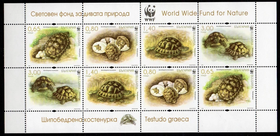 BULGARIA 2016 FAUNA WWF TURTLES SET REGULAR + UV + 3 S/S + M/S MNH - Изображение 4 из 4