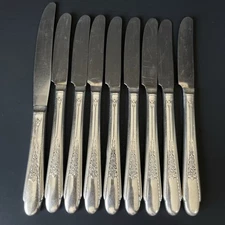 William Rogers and Son Gardenia Dinner Butter Knives 1941 Lot of 9 Flatware