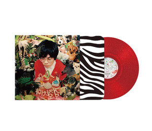 The Black Skirts Vinyl | eBay