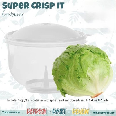 TUPPERWARE LARGE LETTUCE SUPER CRISP IT KEEPER White Seal & Spike BRAND NEW
