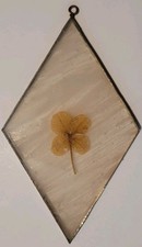 Vintage Pressed Four Leaf Clover Suncatcher