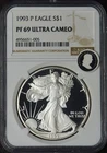 1993-P American Silver Eagle - NGC PF69 Ultra Cameo Everest ECC - ✪COINGIANTS✪
