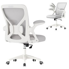 Ergonomic Mesh Office Chair with Adjustable Lumbar Support, 90-105  Tilt Func...