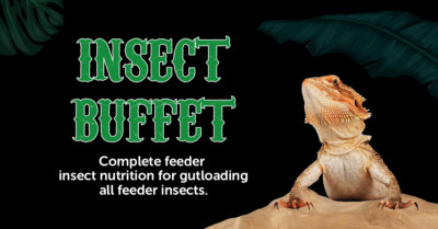 Premium Insect Chow for Dubia & Cricket Meal/SuperWorms 