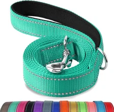 Joytale Dog Leash, 6 FT Double-Sided Reflective, Padded 6 ft Standard, Teal 