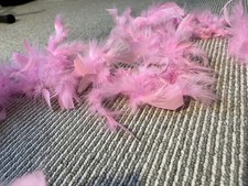 Pink Feather Boa 2 Mtr