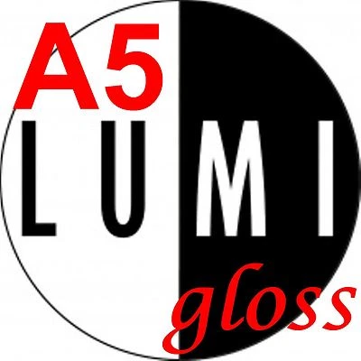 GLOSS SHINY A5 170 gsm 2 SIDED LASER PRINTER PAPER x 1000 sheets Flyers Leaflets - Image 1 of 3