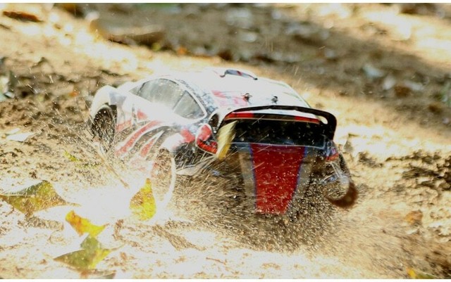 1 18 rc rally car