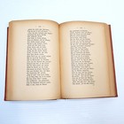 Foto 11 di 12