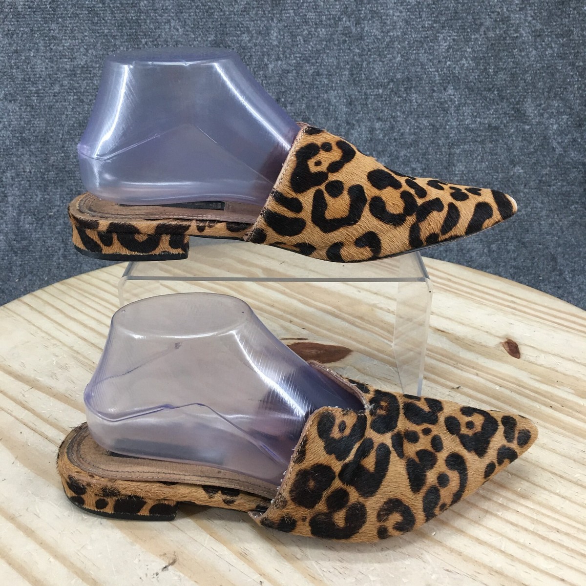 Steve Madden Zebra Print Mules Steve Madden Leopard Print Mules On - Main Image